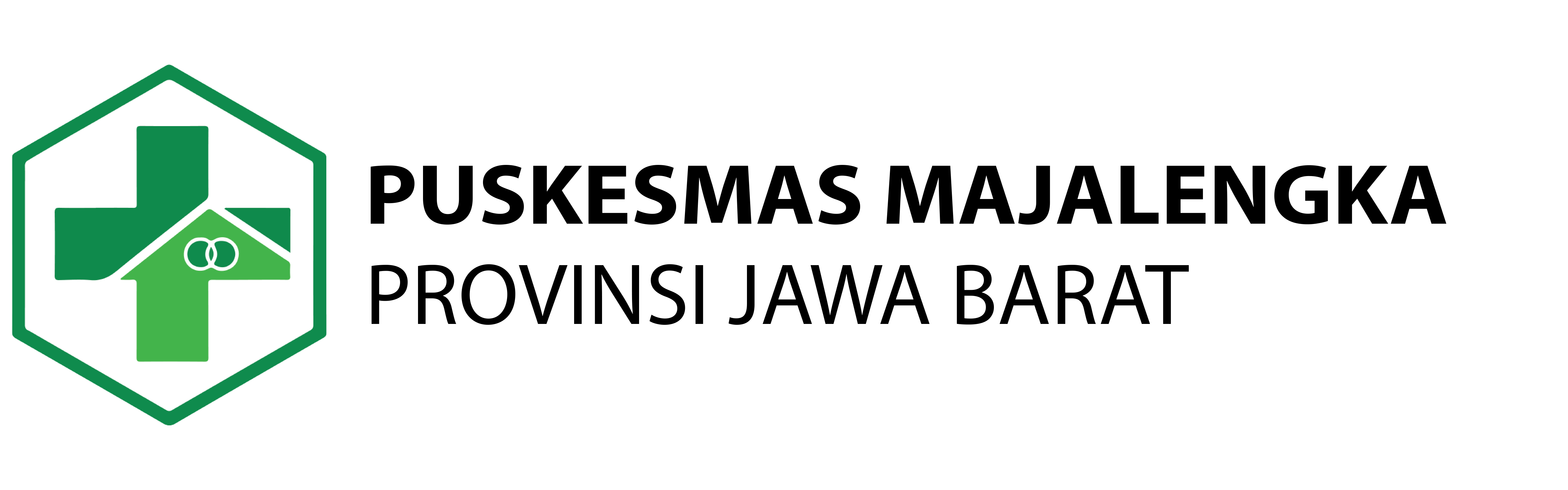 Logo Puskesmas